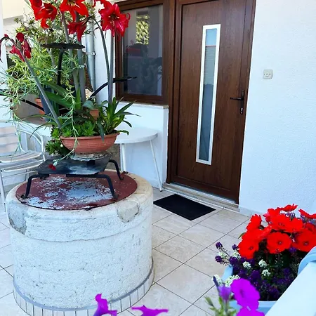 Guest house Ljubica 3*