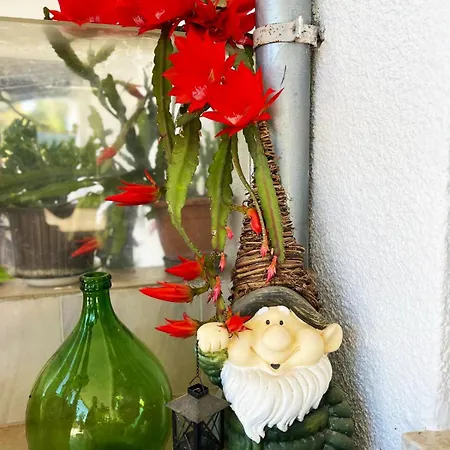 Ljubica ゲストハウス ロヴィニ